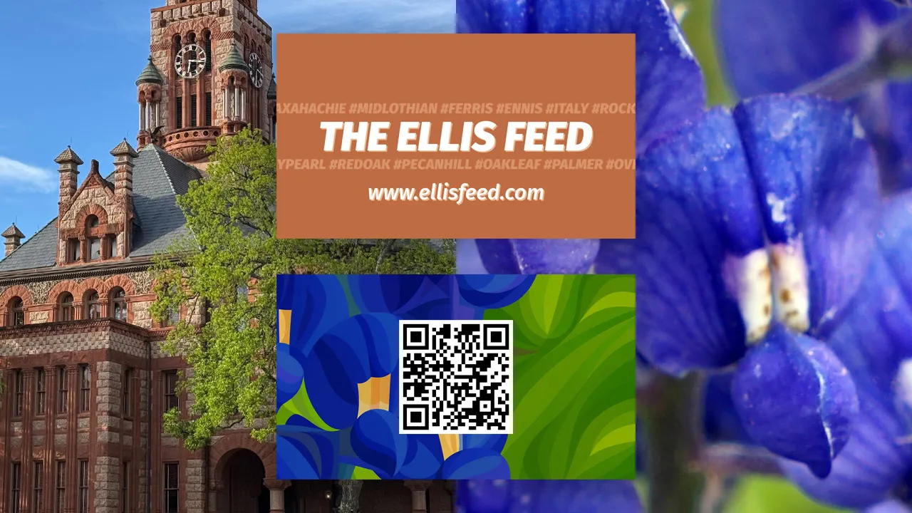 The Ellis Feed business card design