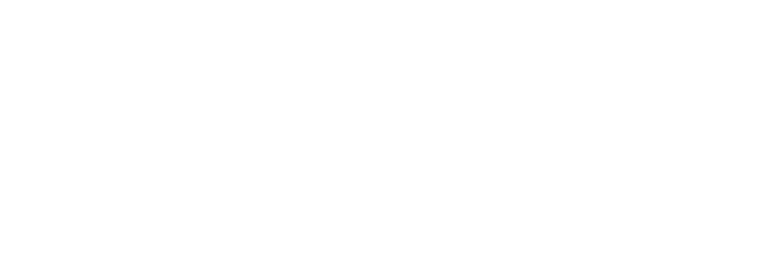 New Folly Aesthetics logo