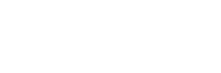 VOSTORQ logo